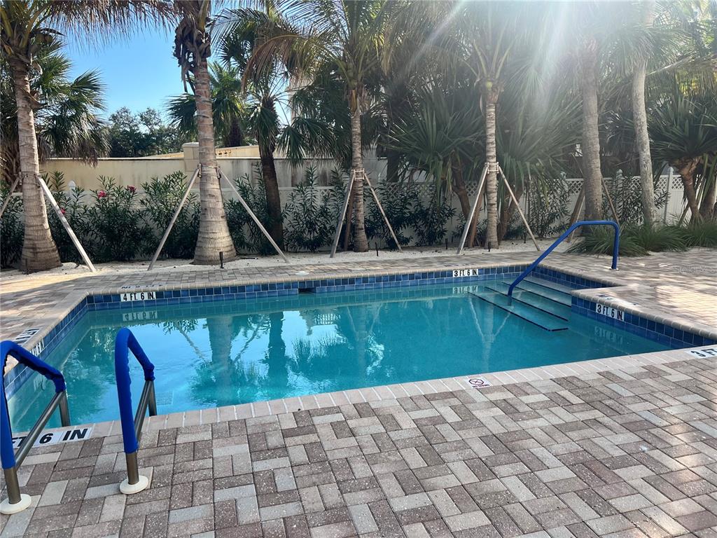 A rectangular swimming pool with blue tiles and a brick paver deck surrounded by palm trees — 1001 POINT OF ROCKS ROAD UNIT 308, SARASOTA, FL