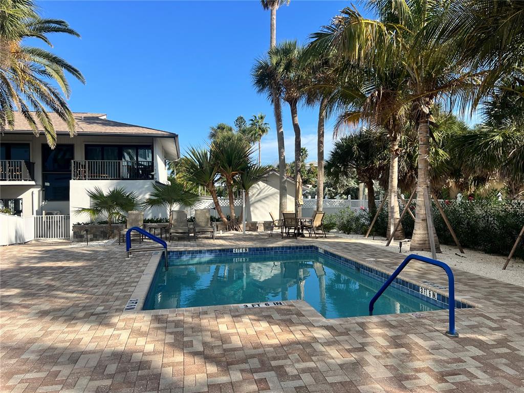 A rectangular swimming pool with blue handrails sits on a paved patio surrounded by palm trees — 1001 POINT OF ROCKS ROAD UNIT 308, SARASOTA, FL