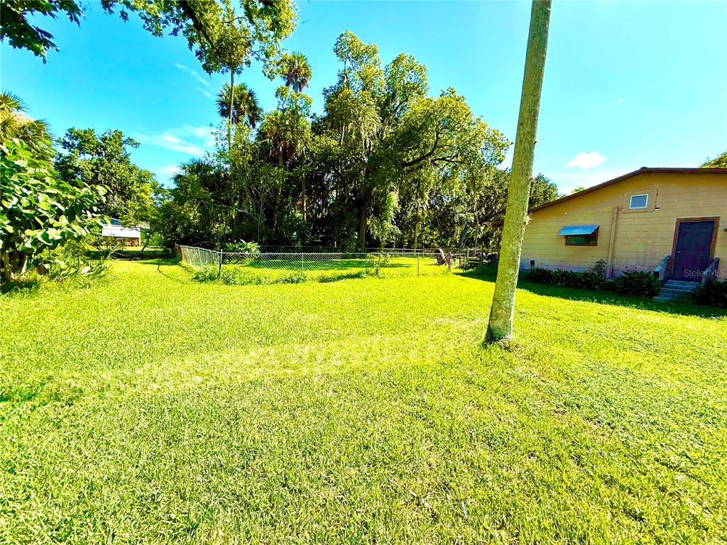 A grassy backyard features a chain-link fence, mature trees, and the side of a house — 631 ELM AVENUE, HOLLY HILL, FL