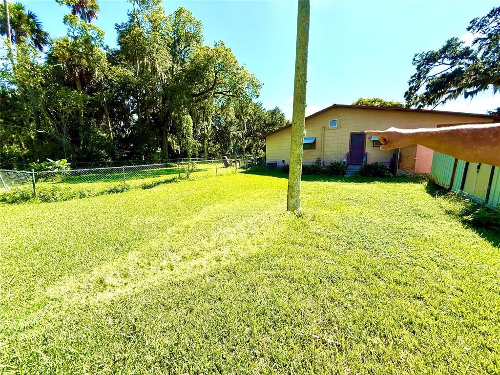 A grassy backyard features a chain-link fence, a single tree, and the exterior of a house — 631 ELM AVENUE, HOLLY HILL, FL