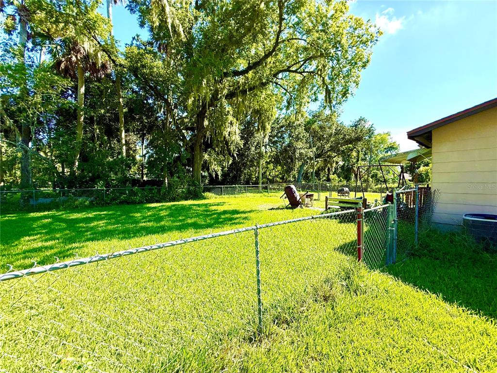A grassy backyard features a chain-link fence, large trees, and a portion of a house — 631 ELM AVENUE, HOLLY HILL, FL