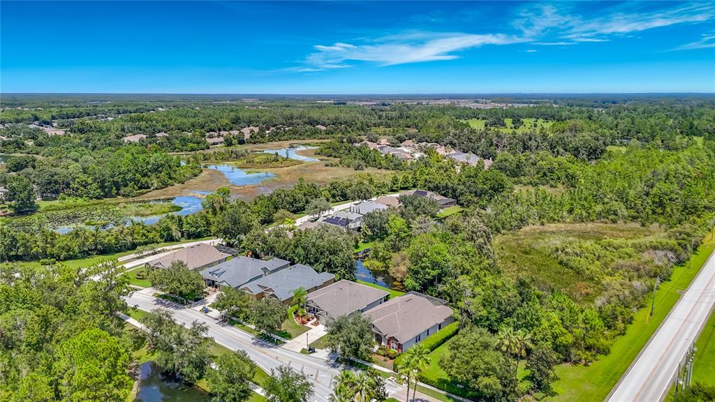 An aerial view shows a suburban neighborhood with houses situated near a pond and woods — 7220 NIGHT HERON DRIVE, LAND O LAKES, FL