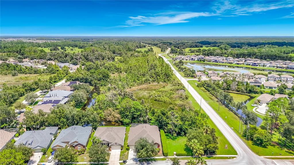 An aerial view shows suburban houses, a road, and a large wooded area with ponds — 7220 NIGHT HERON DRIVE, LAND O LAKES, FL