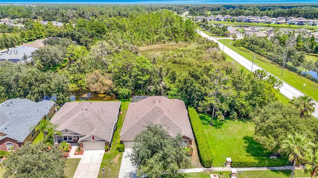 An aerial view shows two suburban houses with brown roofs next to a wooded area — 7220 NIGHT HERON DRIVE, LAND O LAKES, FL