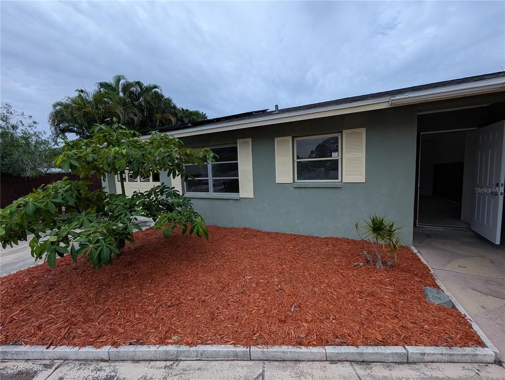 A single-story house exterior with green stucco walls, cream shutters, and a red-mulched front yard — 3646 LAKEWOOD DRIVE, SARASOTA, FL