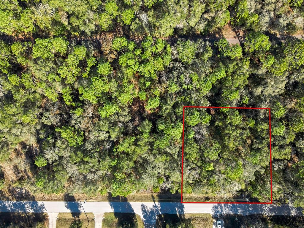 3193 E PORTER STREET, INVERNESS, FL — photo 2 of 11