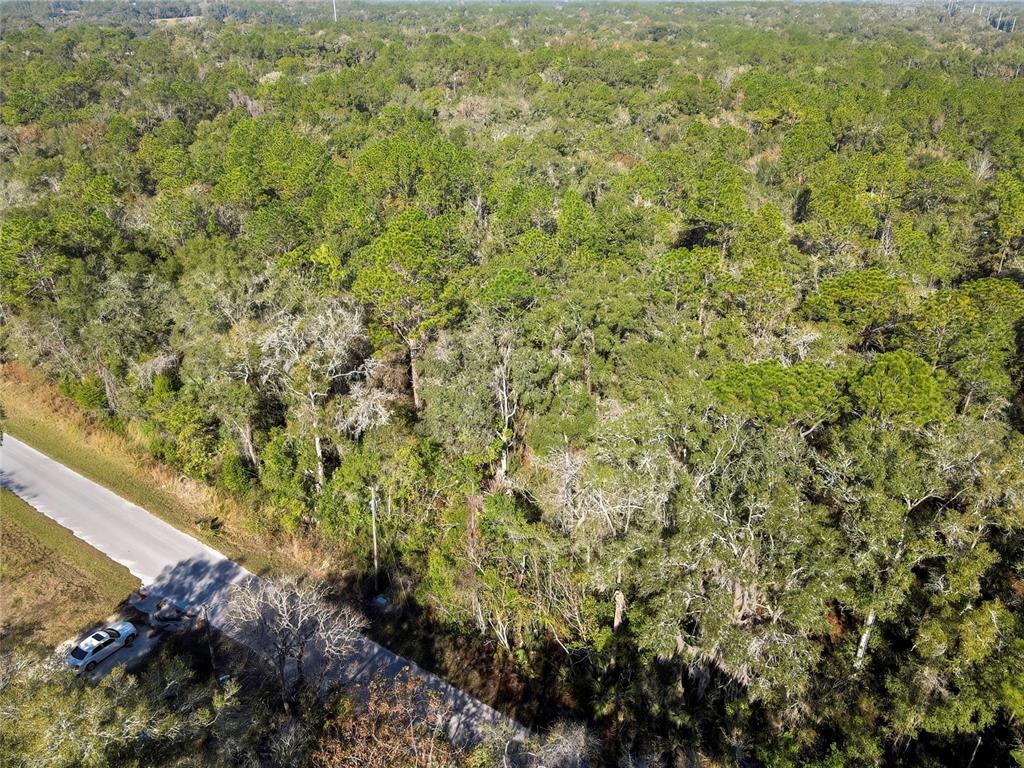 3193 E PORTER STREET, INVERNESS, FL — photo 3 of 11