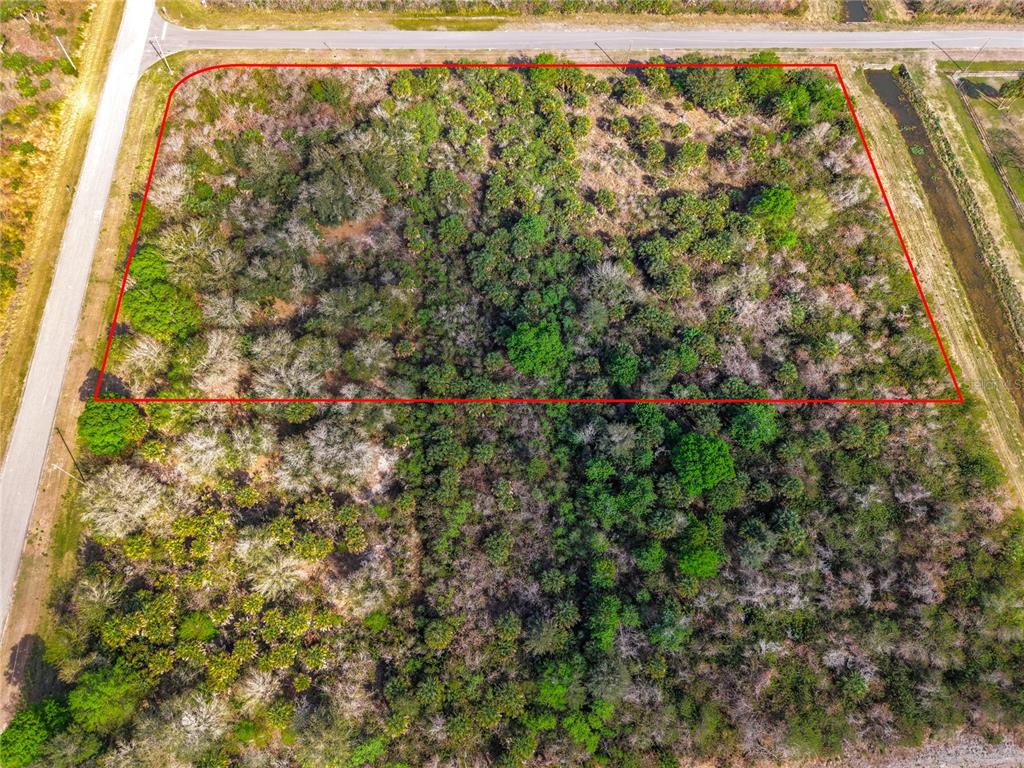 An aerial view shows a rectangular, wooded plot of land outlined in red — FAWN TRAIL STREET, PALM BAY, FL