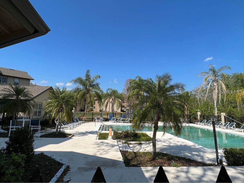 A swimming pool with lounge chairs and palm trees sits outside a residential building — 976 LEEWARD PLACE UNIT 103, ALTAMONTE SPRINGS, FL