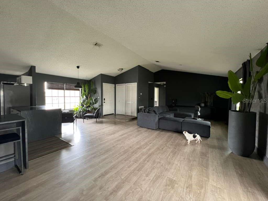 An open-concept living room features dark gray walls, light wood flooring, and a sectional sofa — 906 SAN PAULO WAY, KISSIMMEE, FL