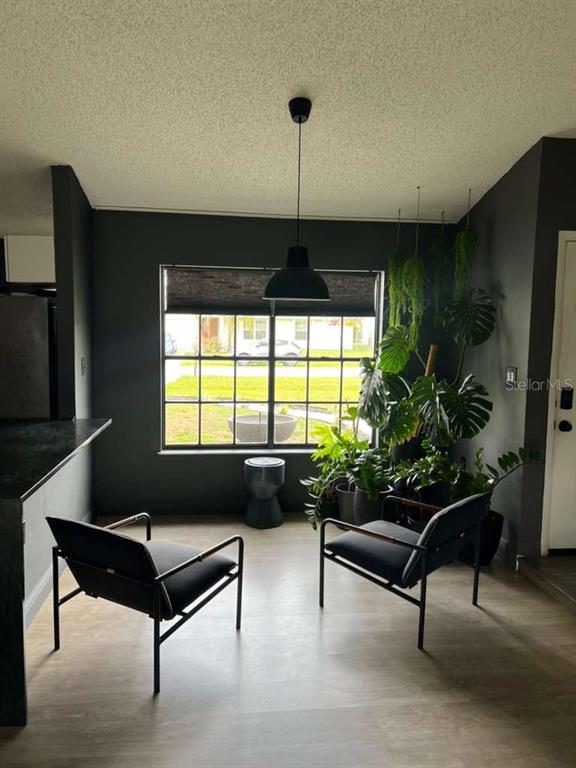 A room with dark gray walls, two black chairs, a pendant light, and large plants — 906 SAN PAULO WAY, KISSIMMEE, FL