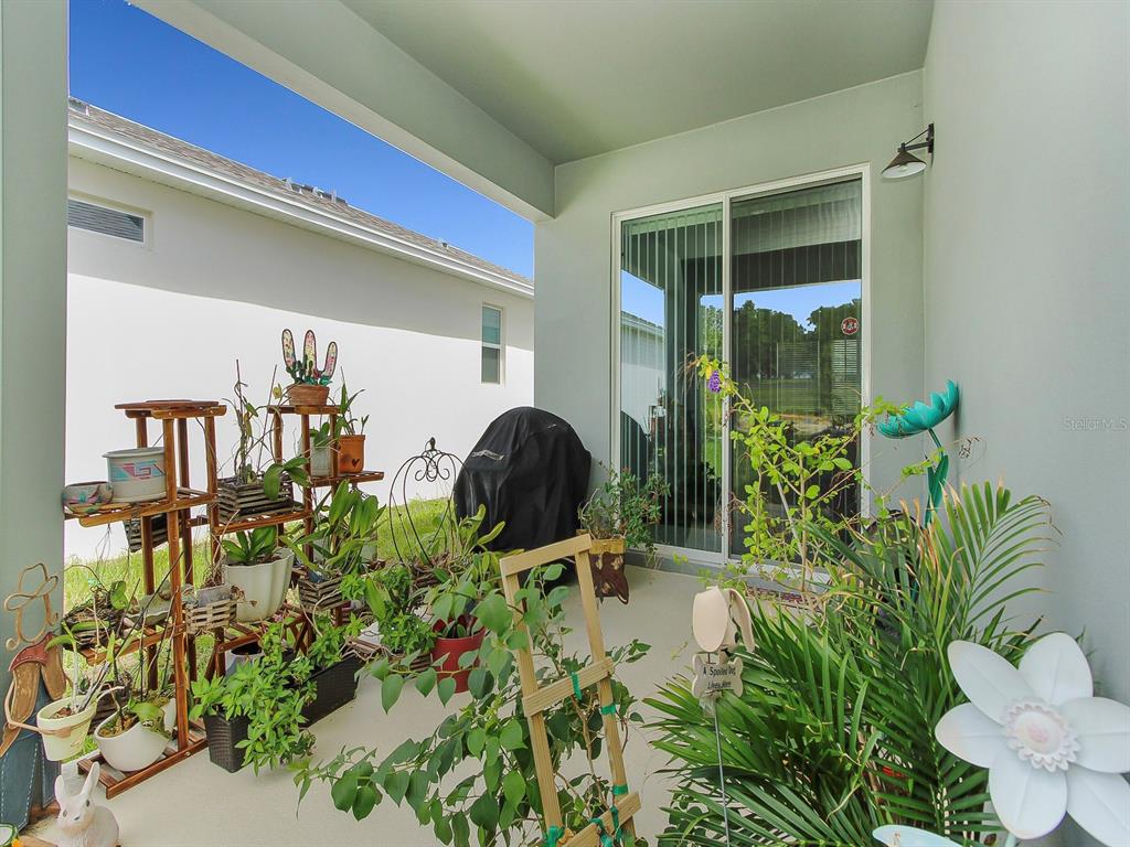 A covered patio features a plant stand, potted greenery, a grill, and sliding glass doors — 353 FREE RANGE DRIVE, GROVELAND, FL