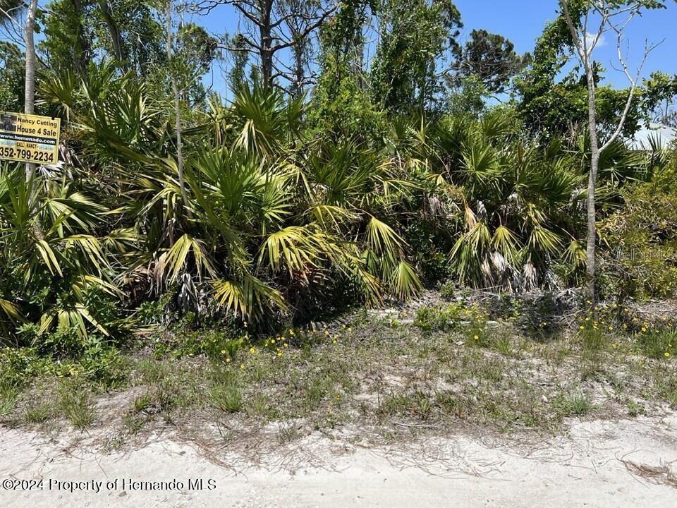A vacant, wooded lot features dense palm vegetation and a real estate sign — 3714 MYERS LANE, ST JAMES CITY, FL