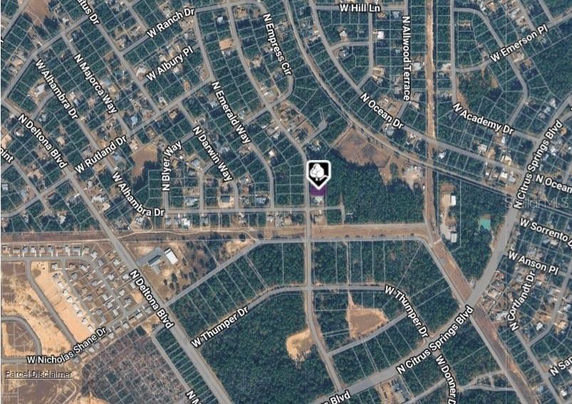 This is an aerial map view of a residential neighborhood with a highlighted property — 10049 N BISCAYNE DRIVE, CITRUS SPRINGS, FL
