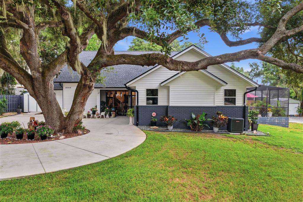 A single-story house with white siding and a dark brick base sits under large trees — 30216 HARRIS DRIVE, LEESBURG, FL