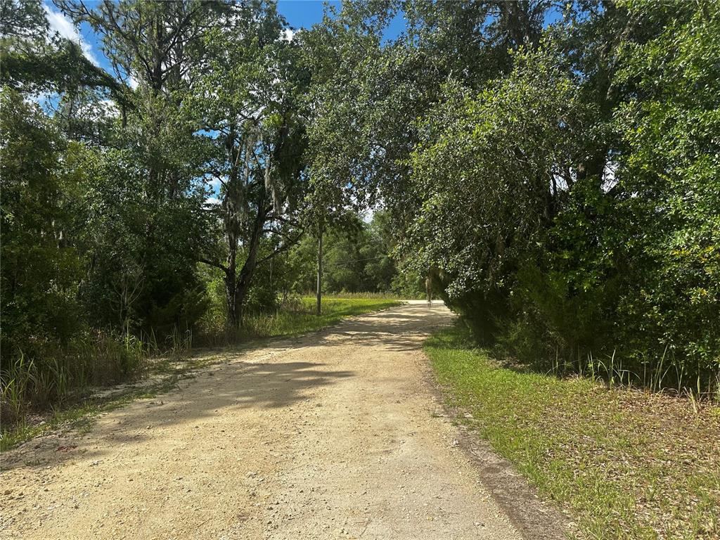 A dirt road leads through a wooded area under a canopy of mature trees — 2499 SW 143RD COURT, OCALA, FL