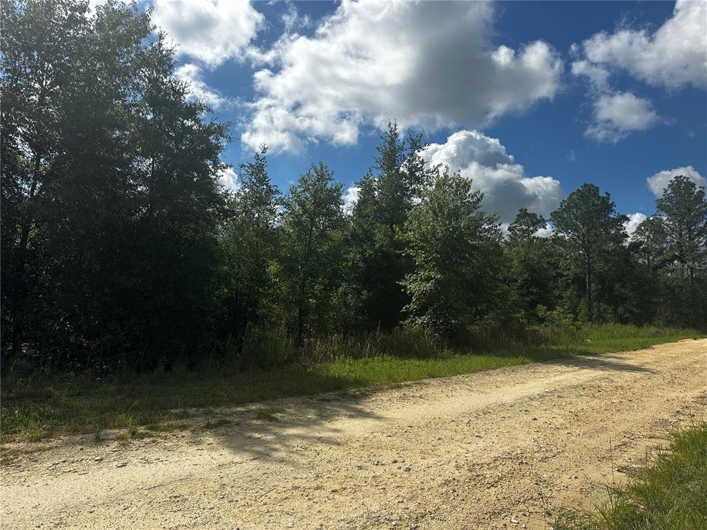 A dirt road runs alongside a wooded lot under a blue sky with clouds — 2499 SW 143RD COURT, OCALA, FL