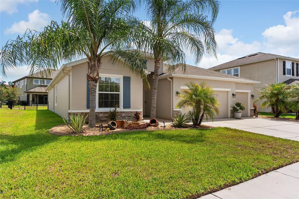 A tan single-story house with a three-car garage, palm trees, and a manicured front lawn — 32373 BANNACK LANE, WESLEY CHAPEL, FL