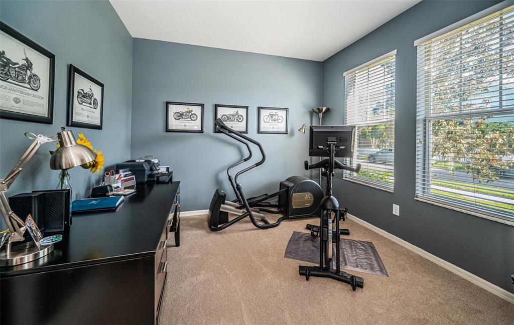 A home office and gym combination features blue walls, carpeted floors, and two exercise machines — 3515 ALBRITTON STREET, NEW PORT RICHEY, FL
