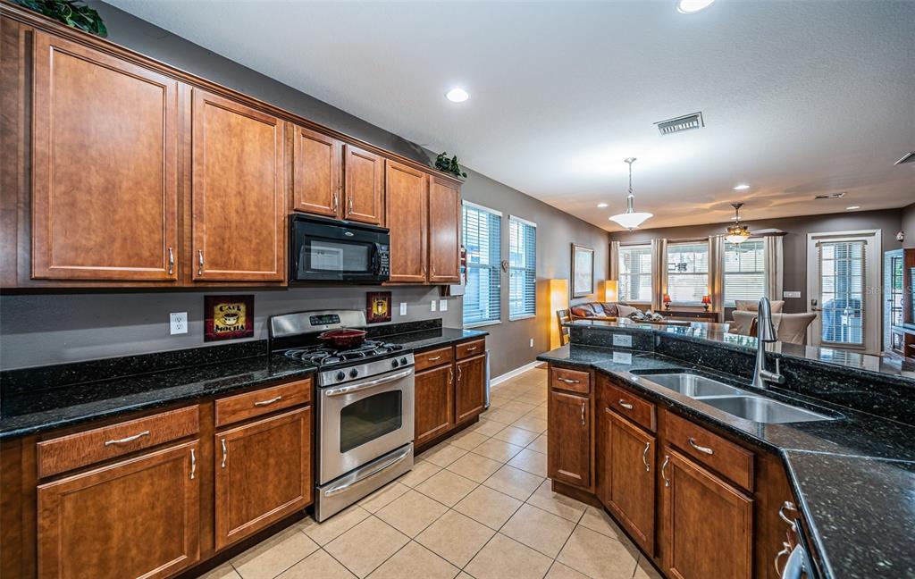 A kitchen features dark wood cabinets, black granite countertops, stainless steel appliances, and tile flooring — 3515 ALBRITTON STREET, NEW PORT RICHEY, FL