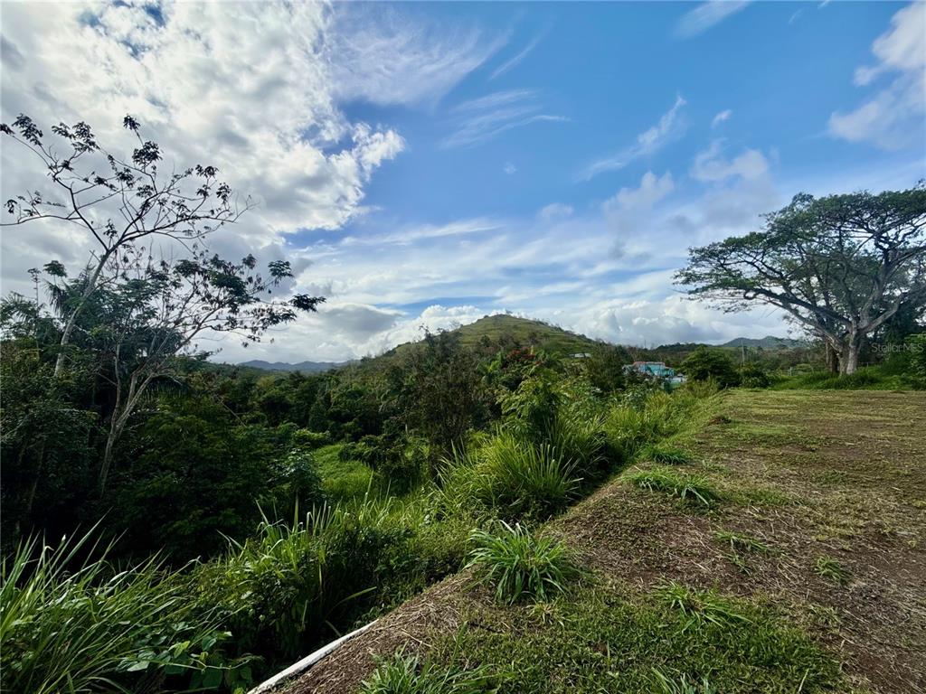 A grassy, elevated lot overlooks a lush valley with a prominent hill in the distance — BO RINCÓN LOMAS, CAYEY, PR
