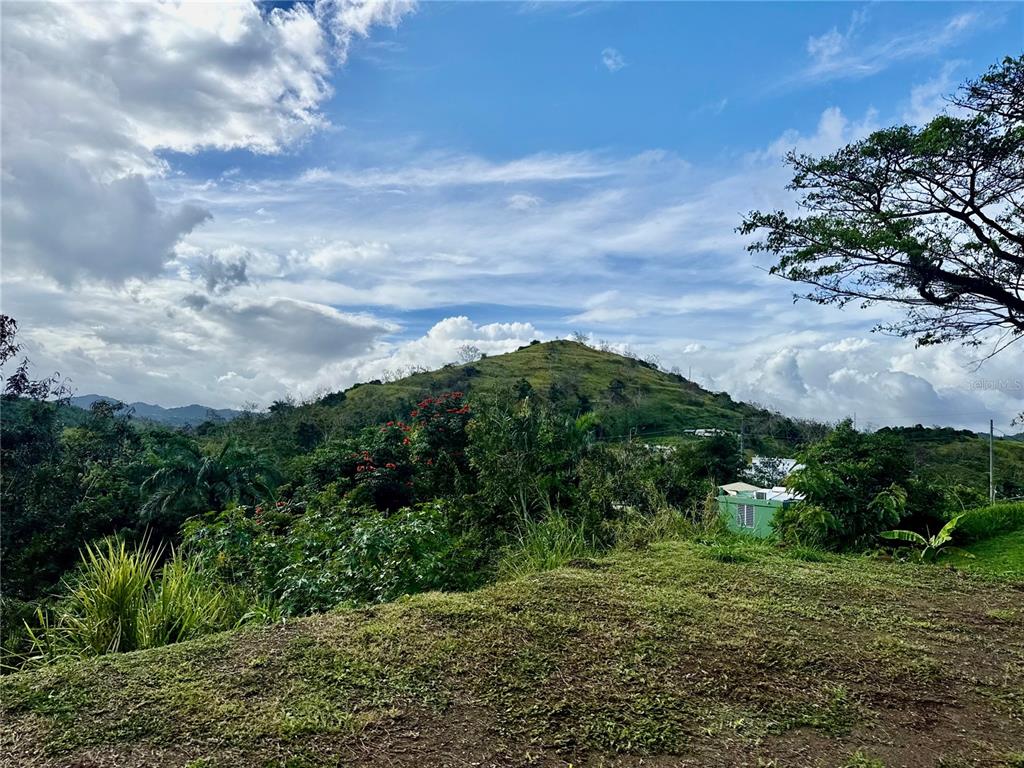 A grassy foreground overlooks a lush, hilly landscape under a bright, cloudy sky — BO RINCÓN LOMAS, CAYEY, PR