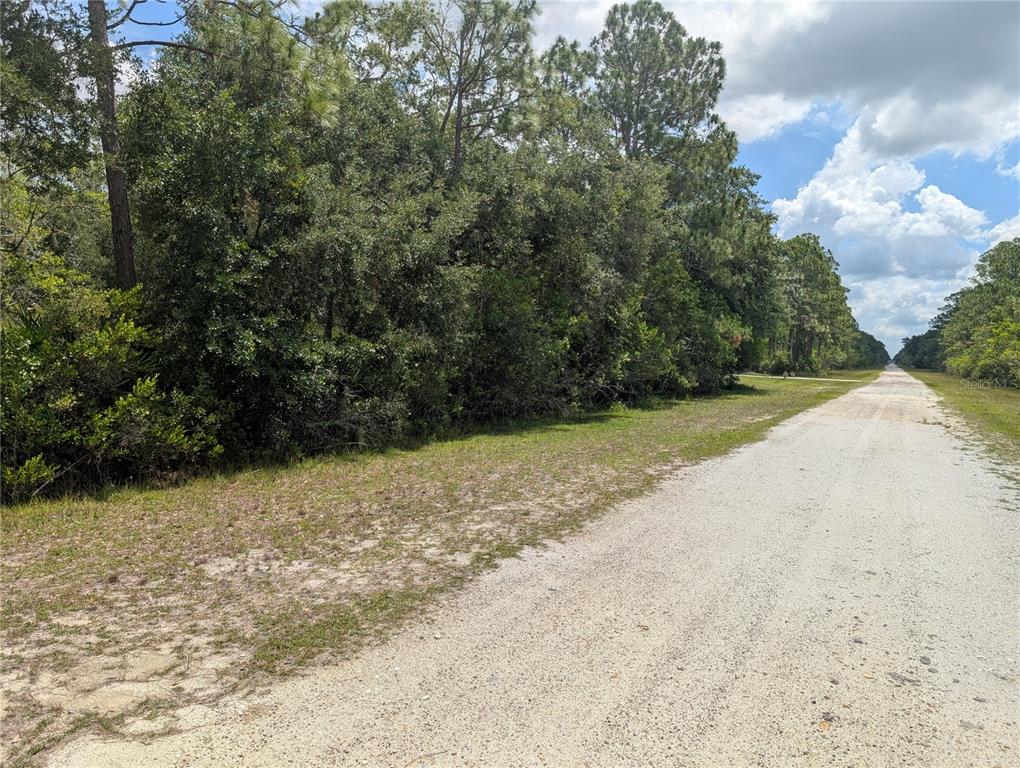 A dirt road runs alongside a dense line of trees under a cloudy sky — 716 ORCHID DRIVE, INDIAN LAKE ESTATES, FL