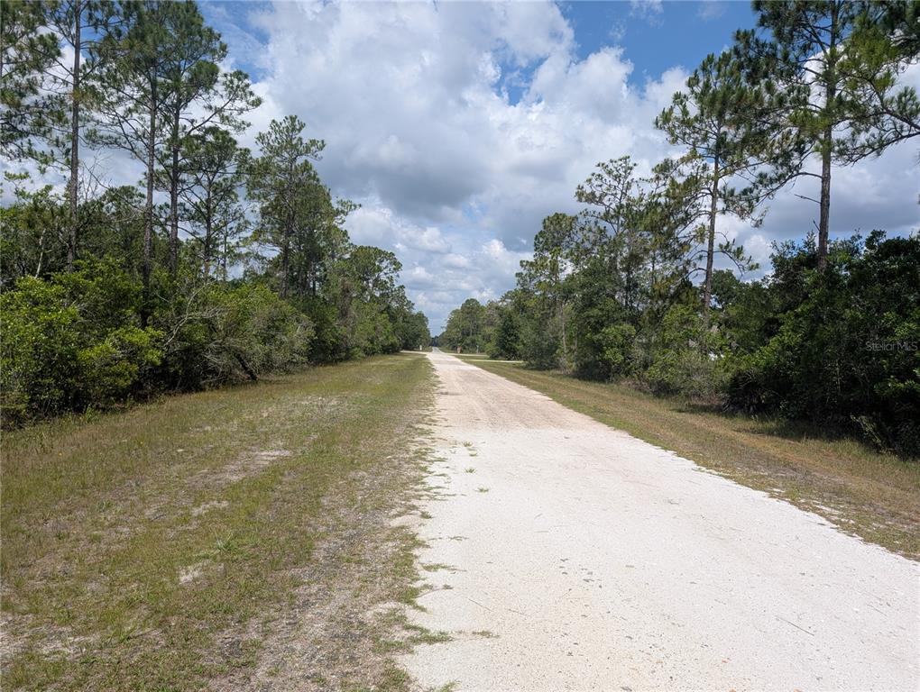 A dirt road stretches through a wooded area under a cloudy blue sky — 716 ORCHID DRIVE, INDIAN LAKE ESTATES, FL