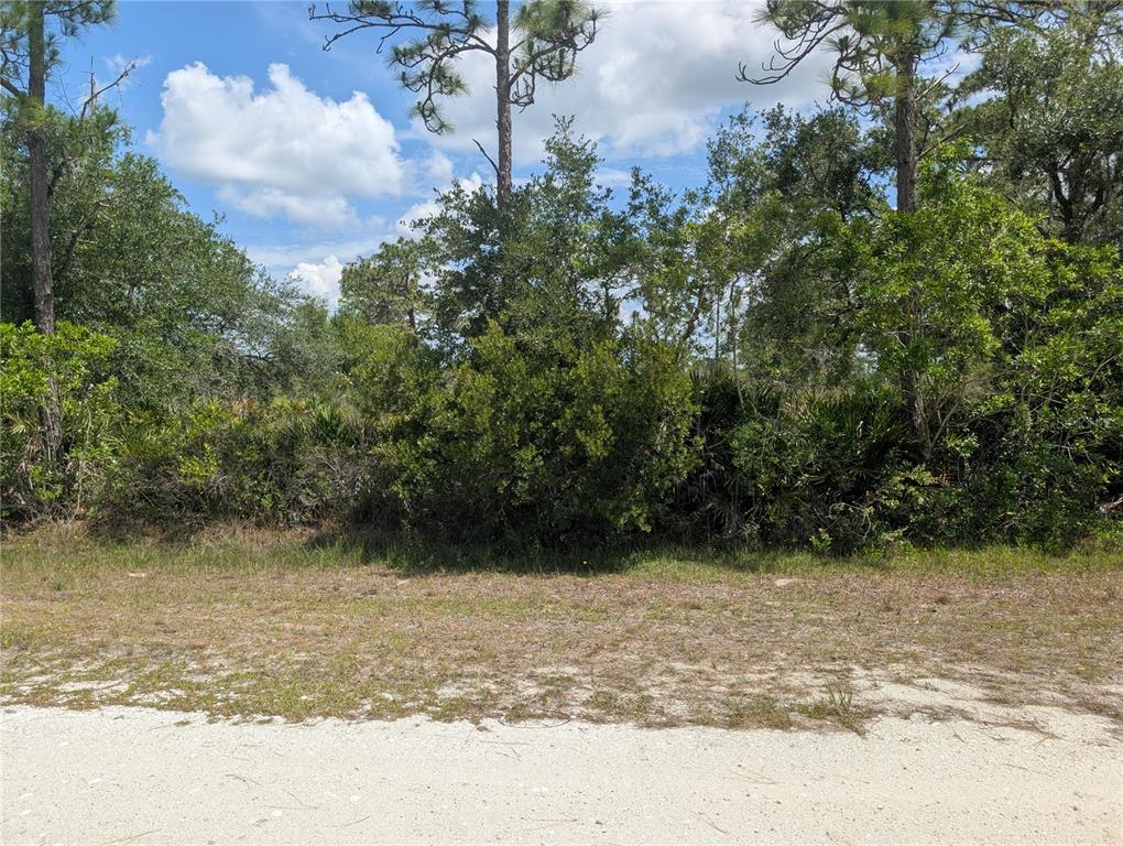 A view of a vacant, wooded lot with a sandy foreground under a blue sky — 716 ORCHID DRIVE, INDIAN LAKE ESTATES, FL