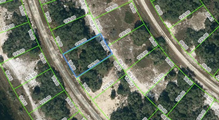 An aerial map view shows a rectangular plot of land outlined in blue — 313 RHYTHM DRIVE, LAKE PLACID, FL