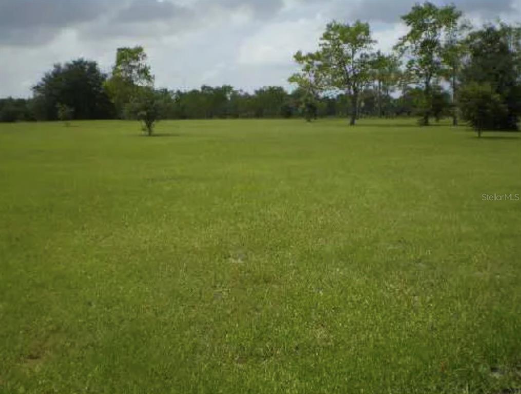 25429 SHETLAND TRAIL