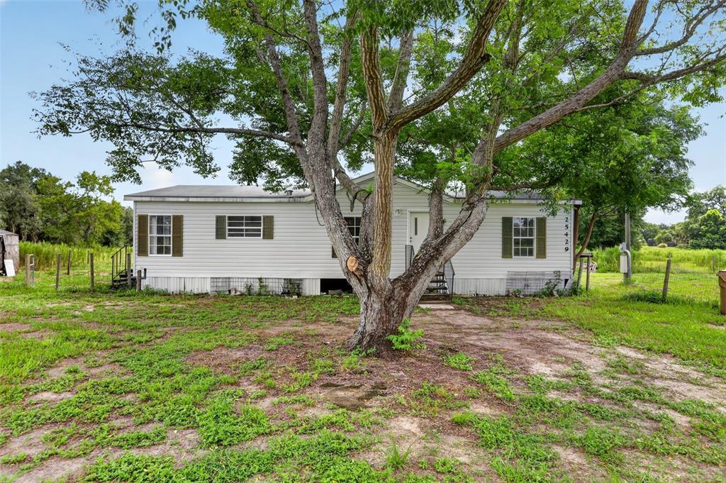 A single-story manufactured home with light siding stands behind a large tree in a yard — 25429 SHETLAND TRAIL, SORRENTO, FL