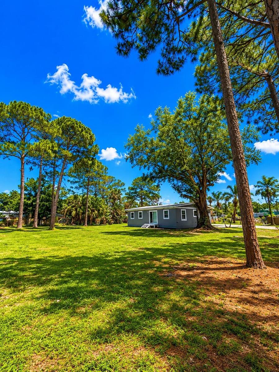 A gray single-story house sits in a large, grassy yard surrounded by tall pine trees — 468 N 53rd Dr Drive N, FL 33415, FL