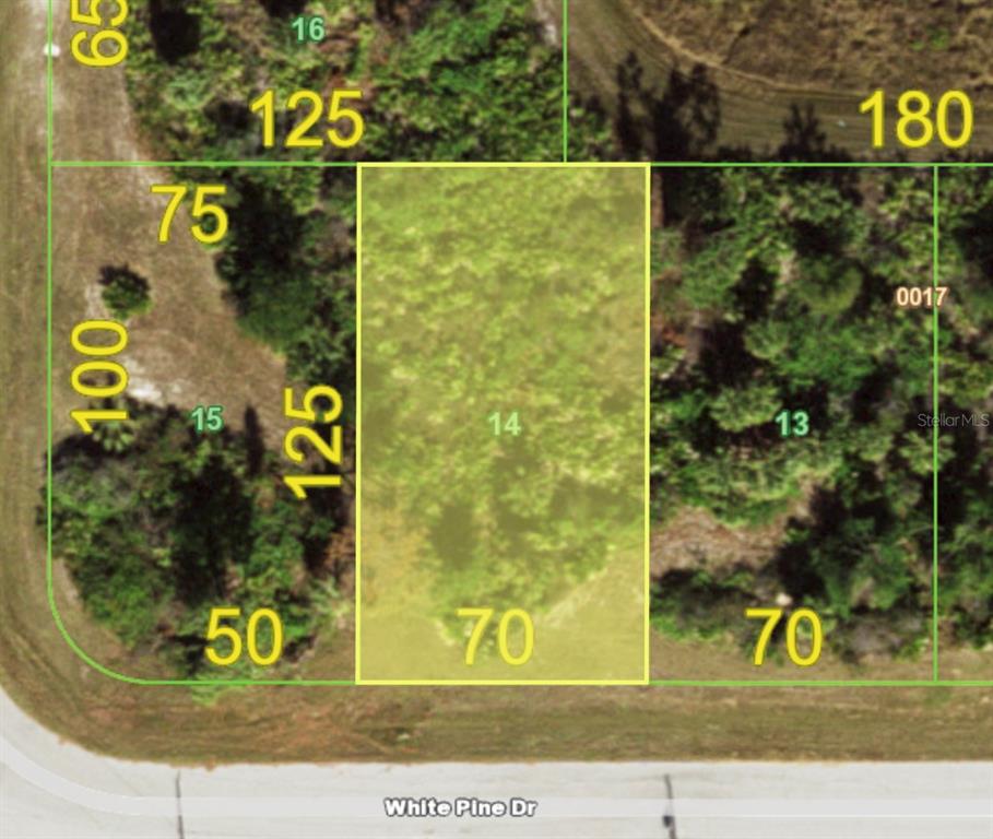 155 WHITE PINE DRIVE