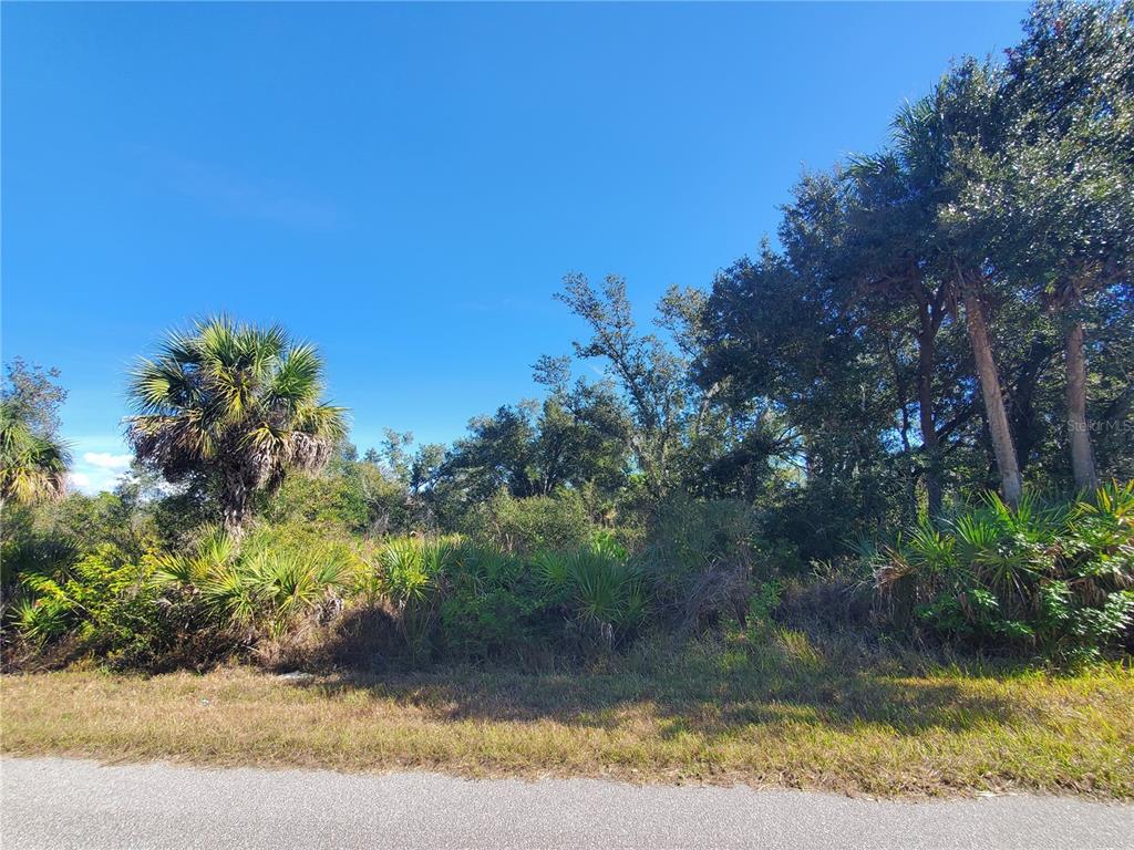 A vacant, wooded lot with palm trees and native vegetation borders a paved road — 1520 CAPEL STREET, PORT CHARLOTTE, FL