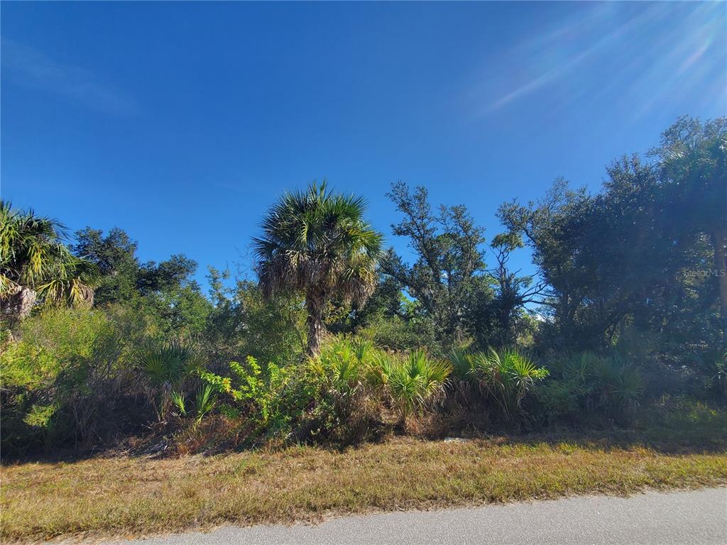 A view of a vacant, wooded lot with a palm tree and native vegetation — 1520 CAPEL STREET, PORT CHARLOTTE, FL