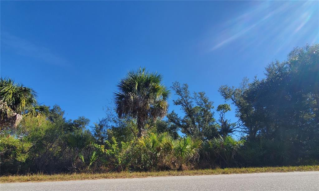 A paved road runs in front of a wooded lot with various palm trees — 1520 CAPEL STREET, PORT CHARLOTTE, FL