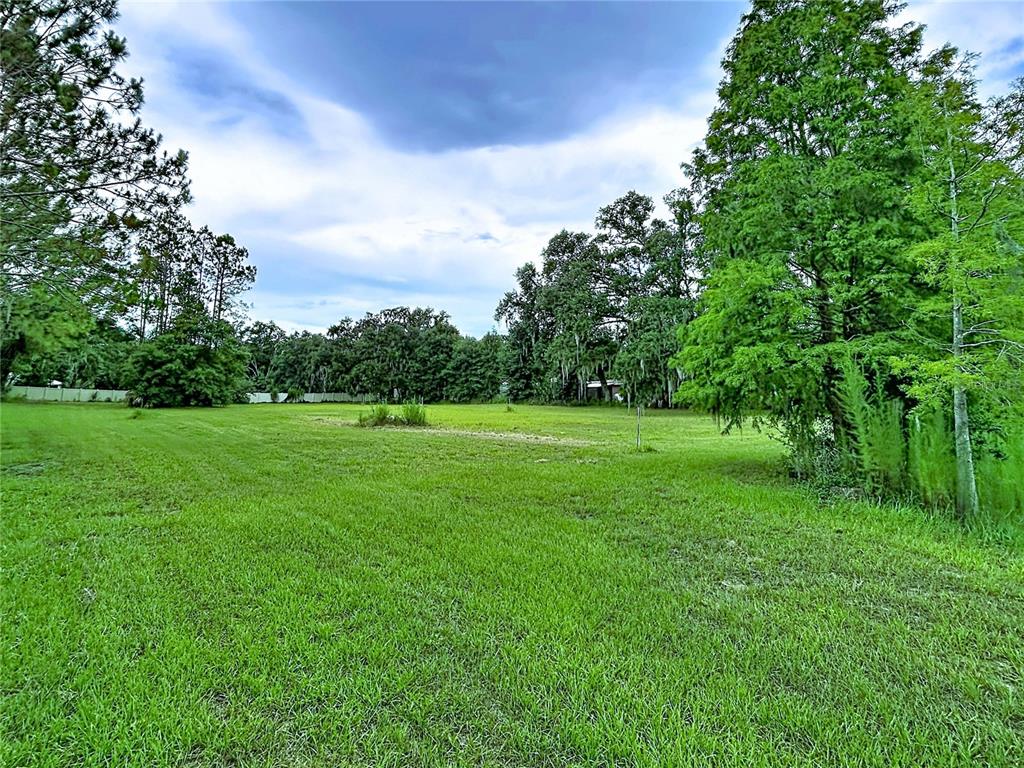 A large, grassy, open lot is surrounded by mature trees under a cloudy sky — 16605 HAPPY GARDEN WAY, LUTZ, FL