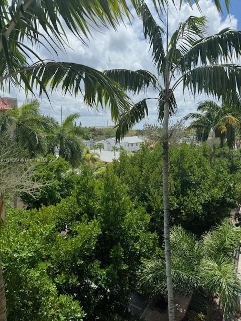 An elevated view of lush green trees and palm trees under a partly cloudy sky — 1919 Van Buren St # 516A, Hollywood FL 33020, HOLLYWOOD, FL