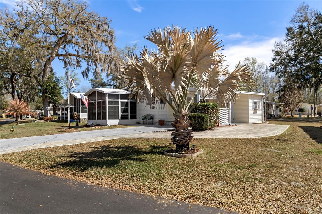 A single-story house with a screened porch and a palm tree in the front yard — 2805 KINGSWOOD CIRCLE, BROOKSVILLE, FL