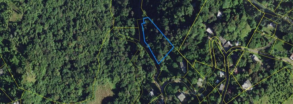 An aerial map shows a plot of land outlined in blue amidst a wooded area — 907 CARRETERA UNIT KM 2.2, CANOVANAS, PR