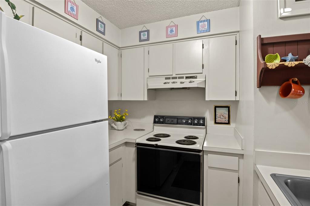 6138 TOPHER TRAIL UNIT 1, MULBERRY, FL — photo 4 of 24