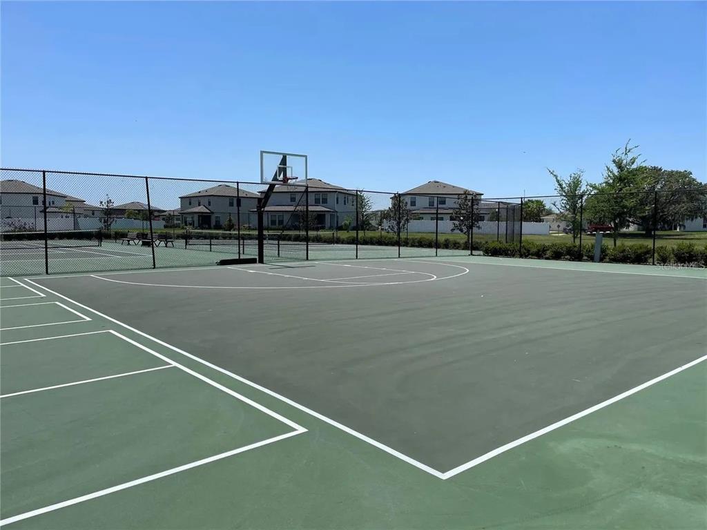 An outdoor basketball court with a chain-link fence and nearby residential houses — 13109 FRUITVILLE WAY, RIVERVIEW, FL