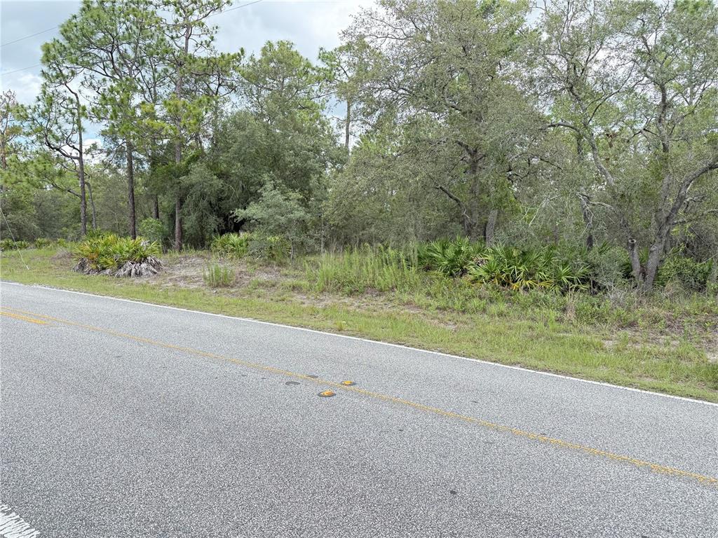 0 FULTON AVENUE, WEEKI WACHEE, FL — photo 2 of 7