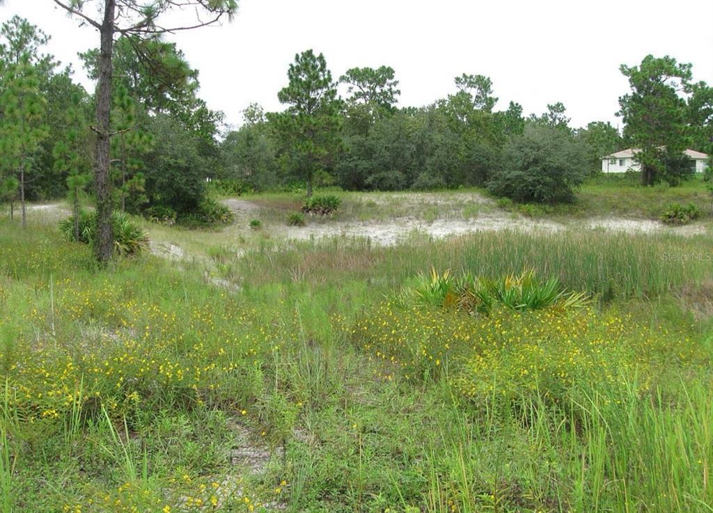 0 FULTON AVENUE, WEEKI WACHEE, FL — photo 4 of 7