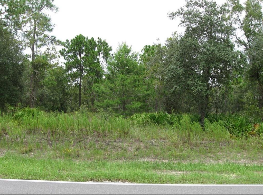 0 FULTON AVENUE, WEEKI WACHEE, FL — photo 5 of 7