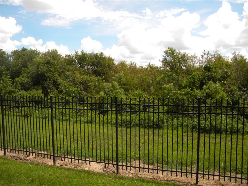 A black metal fence borders a grassy yard with a dense treeline in the background — 7109 YACHT BASIN AVENUE UNIT 436, ORLANDO, FL