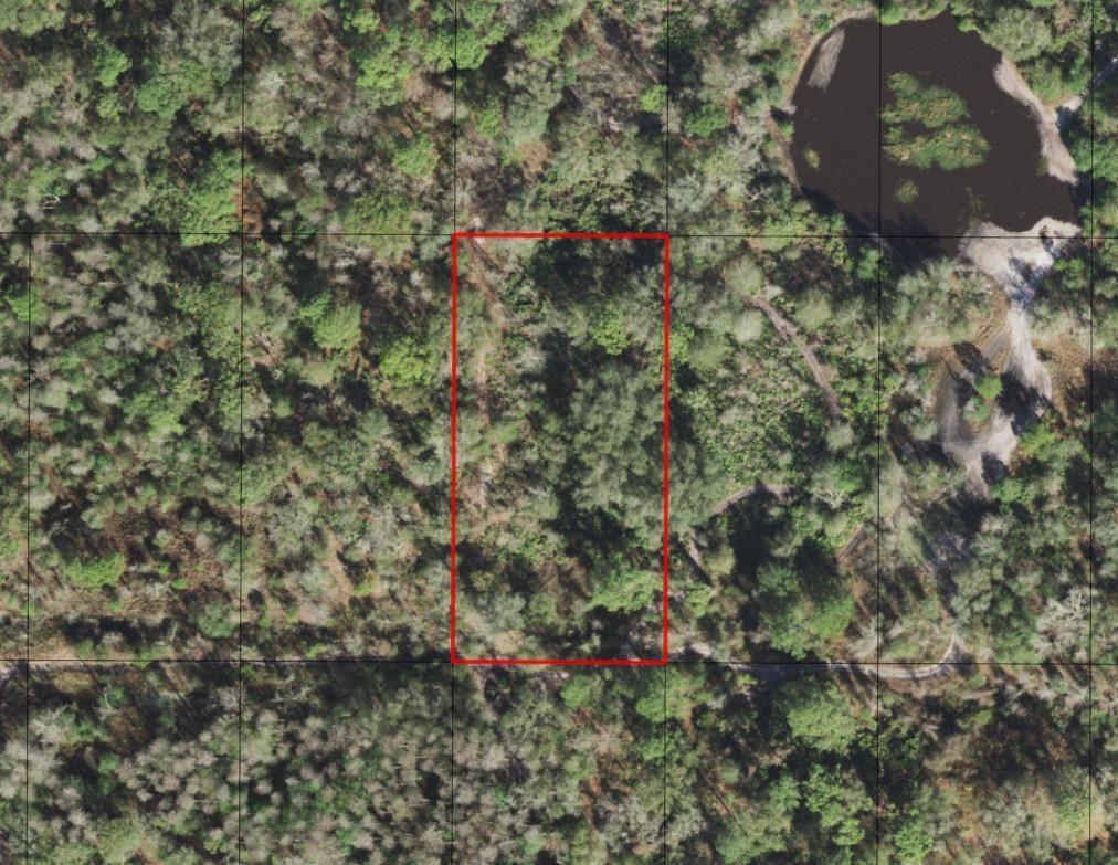 An aerial view shows a rectangular plot of land outlined in red within a forest — 0 County Rd 54, FL 33849, FL