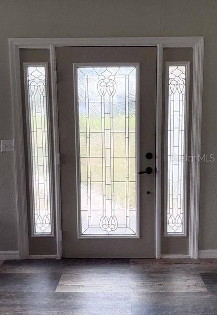 A front door with decorative glass panels and sidelights sits above a wood-look floor — 12601 DOUBLE RUN RD, ASTATULA, FL