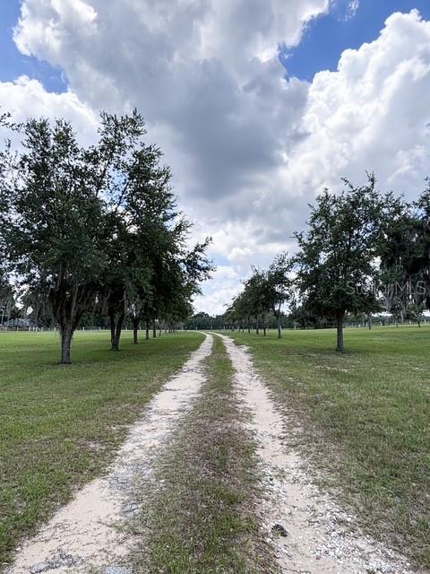 A dirt path leads through a grassy field lined with trees under a cloudy sky — 12601 DOUBLE RUN RD, ASTATULA, FL